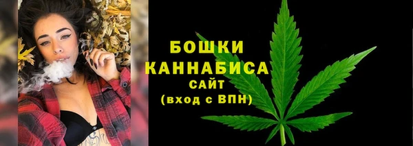 метадон Белокуриха