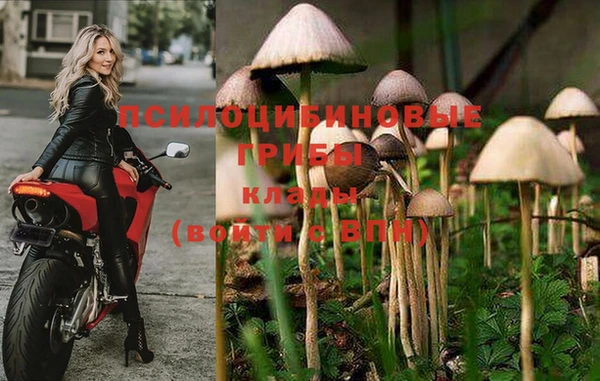 наркотики Беломорск