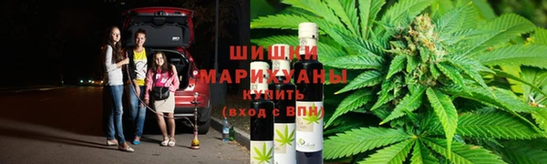 метадон Белокуриха