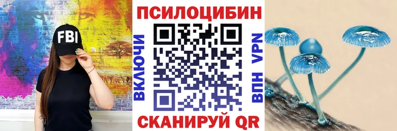 Купить где Донской Псилоцибиновые грибы Magic Shrooms