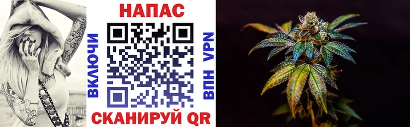 Конопля White Widow  Купить где  Донской 